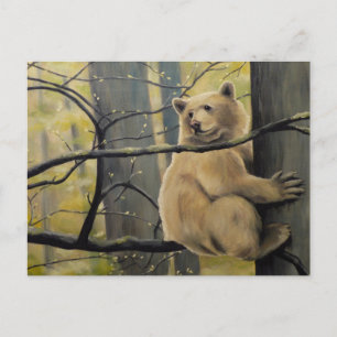 Spirit Bear Postcard Kermode Bear Art Postcards