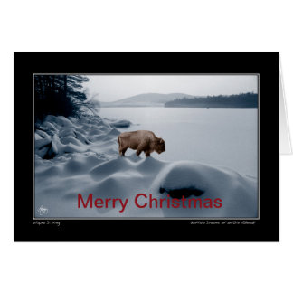 Spirit Buffalo Before the Lake - Christmas Card