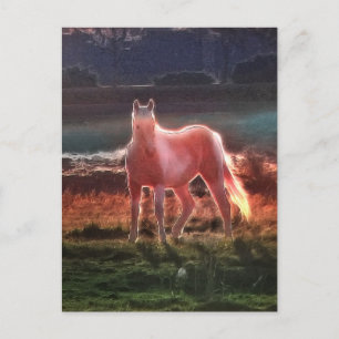 Spirit Dream Horse Postcard