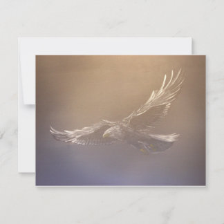 spirit flight
