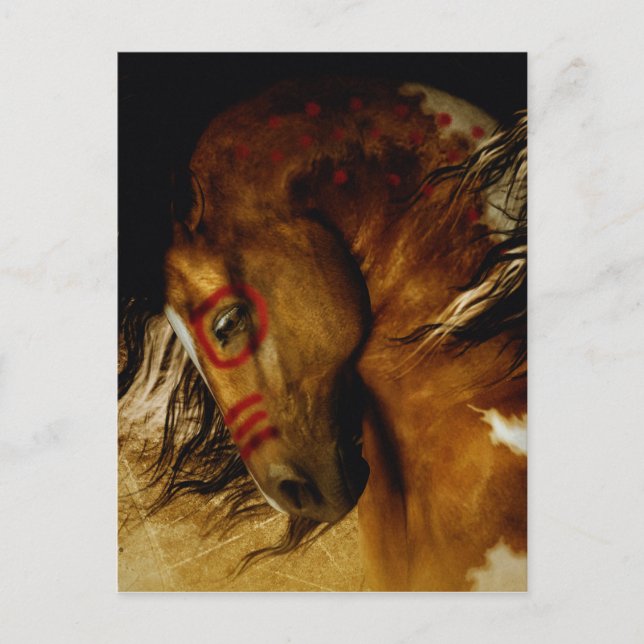 Spirit Horse Postcard (Front)