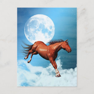 Spirit horse postcard