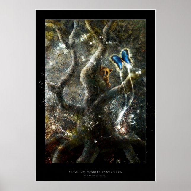 Spirit of Forest: Encounter - Poster (Front)