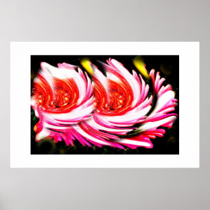 Spirit of summer poster