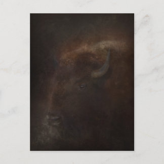 Spirit of the Buffalo Postcard