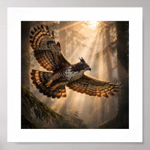 Spirit of the Deep Forest – Mountain Hawk-Eagle Poster