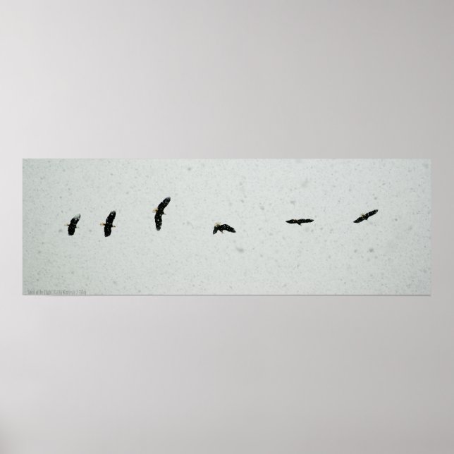 Spirit of the Flight Poster (Front)