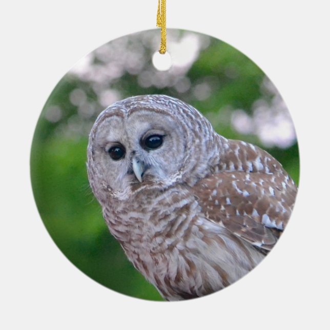 Spirit Of The Owl Ceramic Tree Decoration (Back)