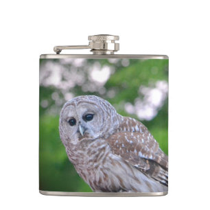 Spirit Of The Owl Hip Flask