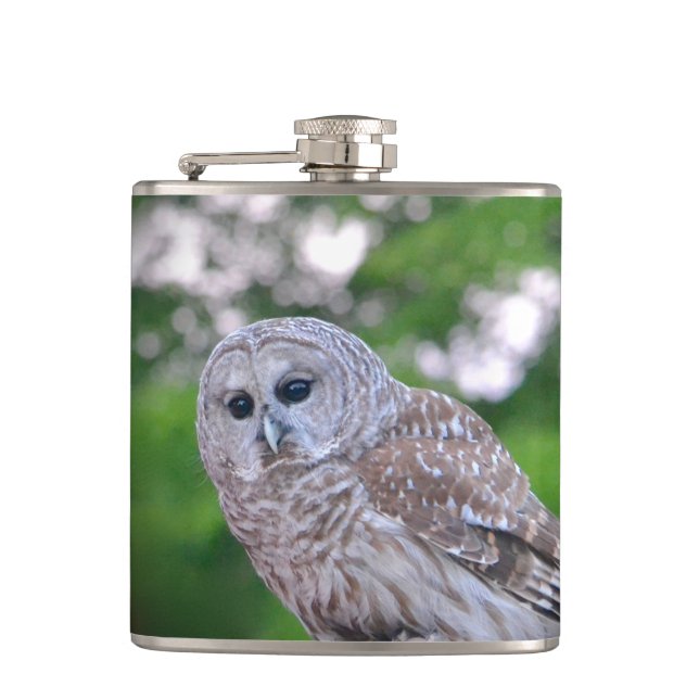 Spirit Of The Owl Hip Flask (Front)