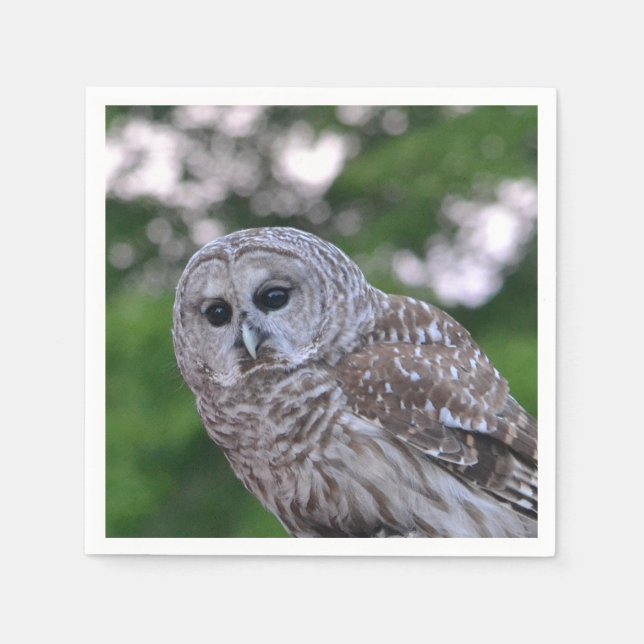 Spirit Of The Owl Napkin (Front)