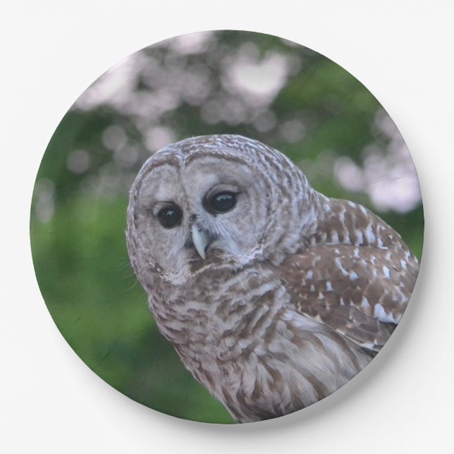 Spirit Of The Owl Paper Plate (Front)