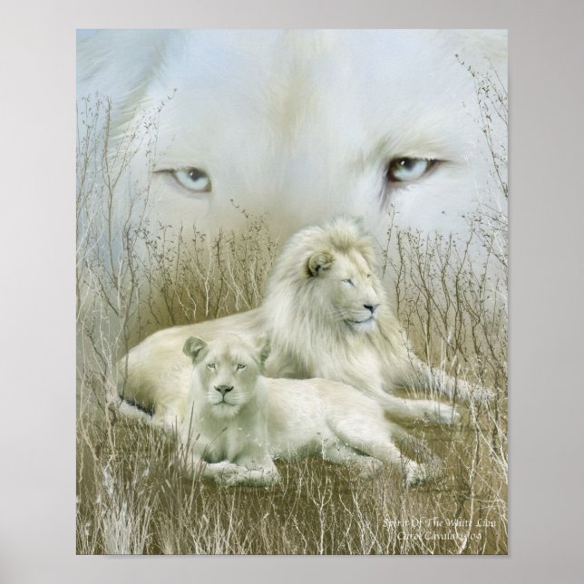 Spirit Of The White Lions Art Poster/Print Poster (Front)