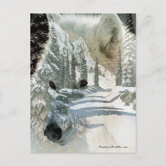 Spirit Of The Wilderness Postcard (Front)