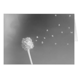 Spirit of the Wind