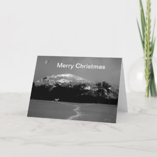 Spirit Pony Under Gibbous Moon Christmas Card