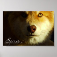 Spirit