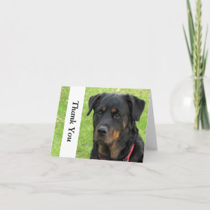 Spirit Rottweiler Thank You Note Card