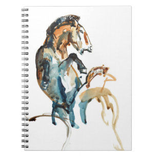 Spirit Spiral Notebook