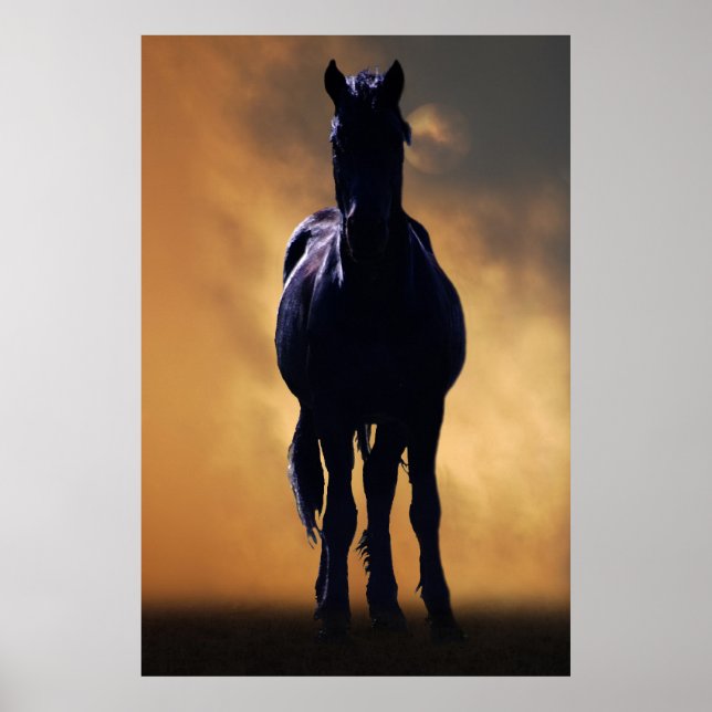 Spirited horse poster (Front)