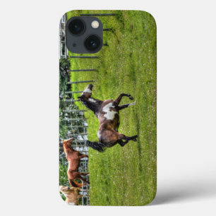 Spirited Paint Horse Equine Photo for Horse-lovers iPhone 13 Case