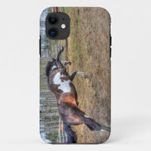 Spirited Pinto Stallion Equine Action Photo Case-Mate iPhone Case
