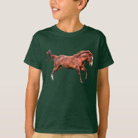 Spirited Red Dun Horse Running Cantering Playing