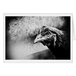 spirits and chickens
