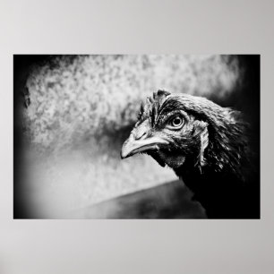 spirits and chickens poster