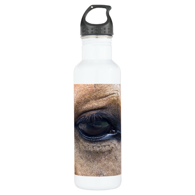 Spirit's Eye 710 Ml Water Bottle (Front)