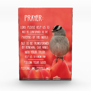 Spiritual Journey Notebook: Romans 12:2 Prayer Photo Block