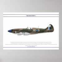Spitfire GB 17 Sqn 1