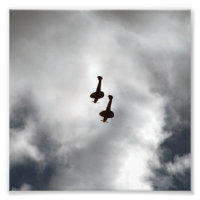 Spitfire Silhouette