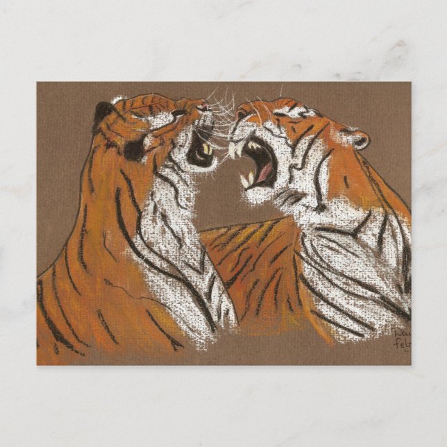 Spitting Mad Tigers - postcard (Front)