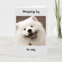 SPITZ TAKES TIME OFF FROM HIS DUTIES FOR BIRTHDAY