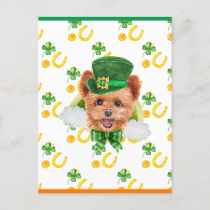 Spitzpoo Shamrock St. Patricks Day Holiday Postcard