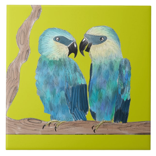 Spix's Macaws on a Ceramic Tile - (G) (Front)
