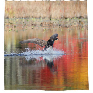 Splash - Canada Goose Landing Shower Curtain
