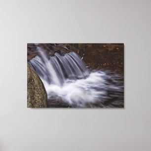 Splash Canvas Print