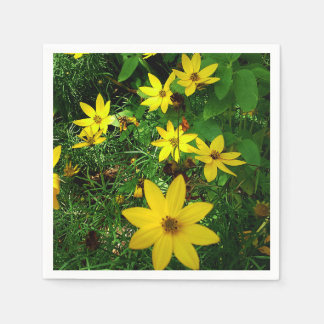 SPLASH OF SPRING napkin