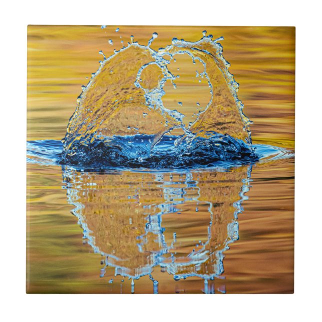 Splash on a fall evening tile (Front)