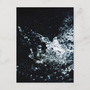 Splash Postcard
