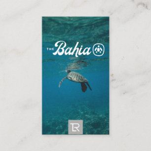Splash Sea Turtle Logo and Teal Business Card