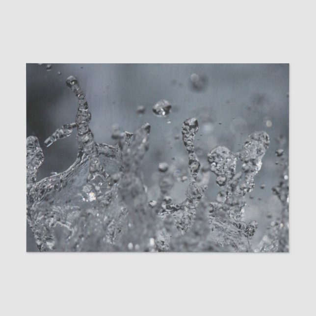 Splash   tissue paper (Front)