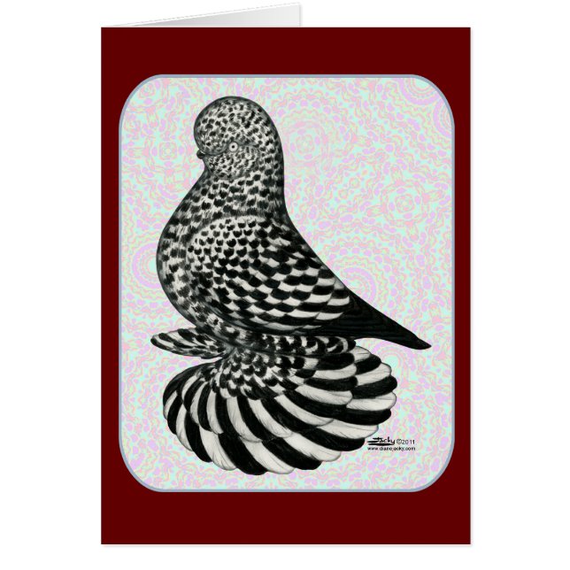 Splash Tumbler Colours (Front)