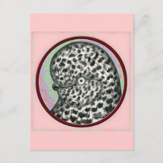 Splash Tumbler Pigeon Circle Postcard