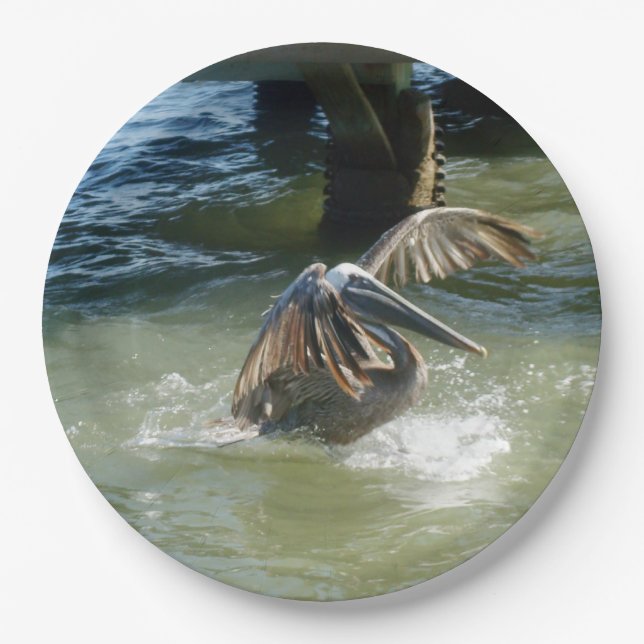 Splashdown Paper Plate (Front)