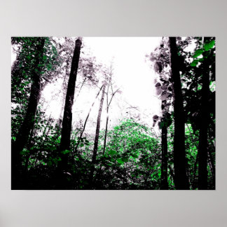 Splashes of Green Poster