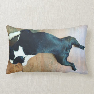 Splat Boston Terrier Lumbar Cushion