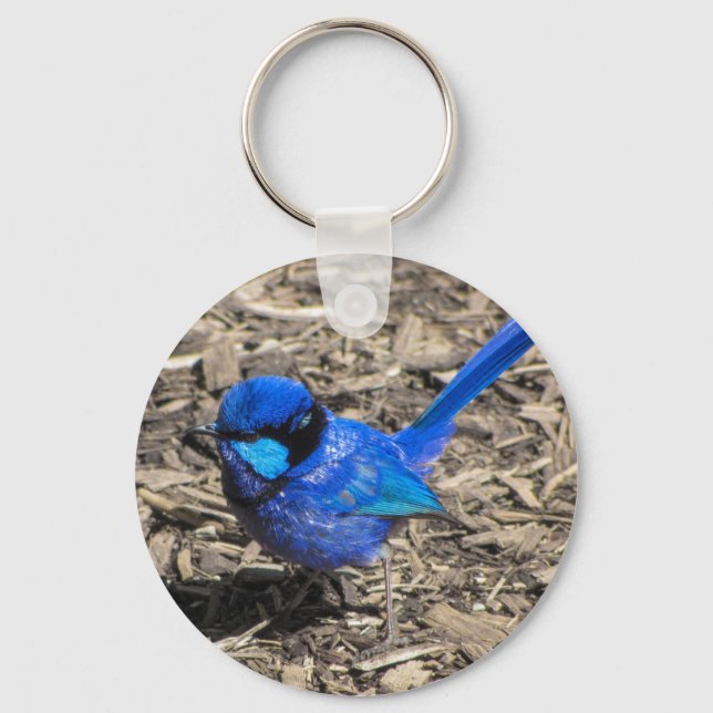Splendid Fairy Wren Keychain (Front)